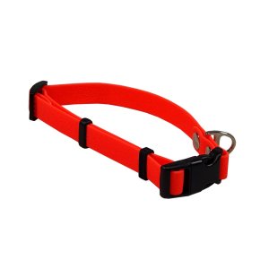 PROFIZOO Obojok Polytrace (15mm x 27-43cm) oranžová