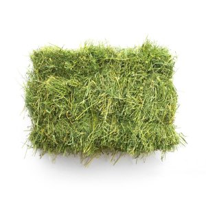 PROFIZOO Seno z lucerny 800l (2025) AKOSŤ ||