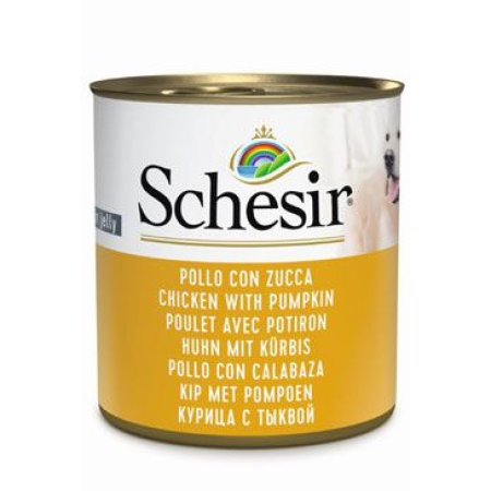 Schesir Dog konz. Adult kurča/tekvica 285g