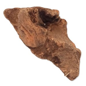 Hračka Epic PET prírodný žuvací vresový koreň XL