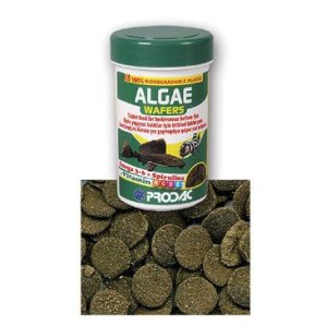 Predák Algae Wafers, 50 g