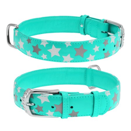 WAUDOG obojok kožený Stars mint (27-36cm/1,5cm)