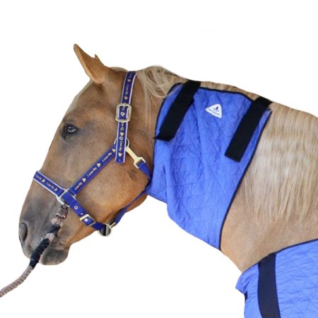 Chladiaci nákrčník pre kone HyperKewl Horse Neck modrý /L