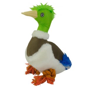 Wild Life Dog - Kačica