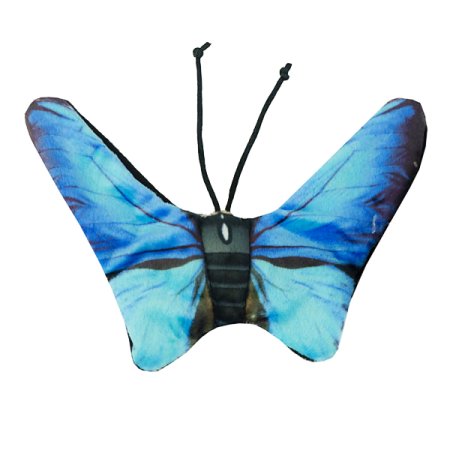 Wild Life Cat - Modrý motýľ