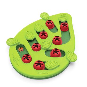 Maškrtný hlavolam Bugginout Lienky