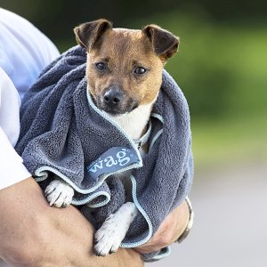 Henry Wag uterák pre psov z mikrovlákna L 150x100cm