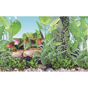 Akvarijné pozadie GRASSY, 80x2500cm