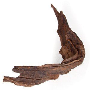 Desert driftwood L