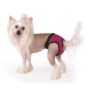 Háracie nohavičky Fun Colours XS