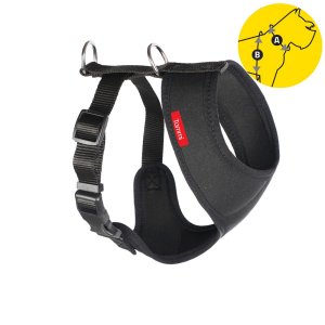 Postroj do auta Tommi S čierny neoprén