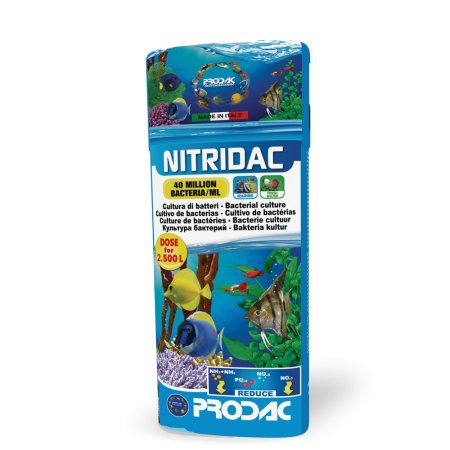 Predac Nitridac, 250ml