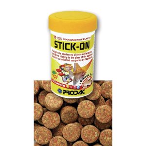 Predak Stick-on Tablet, 60 g