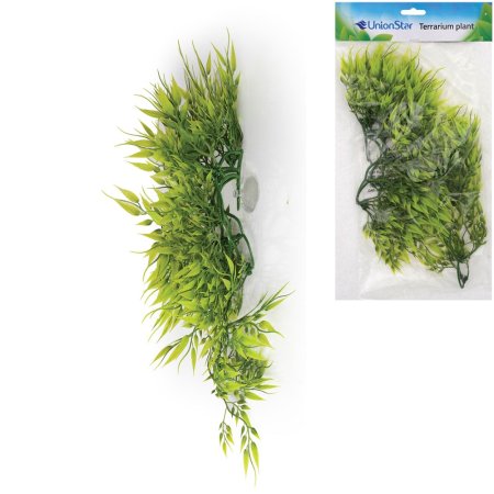 Terárijná rastlina UH, vel.L, UnionStar 40 cm