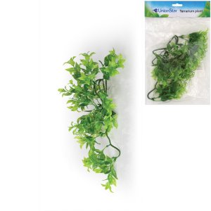 Terárijná rastlina UH, vel.M UnionStar 30 cm