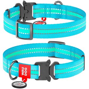WAUDOG obojok nylonový Glow modrý Fastex QR (28-40cm/2,0cm)