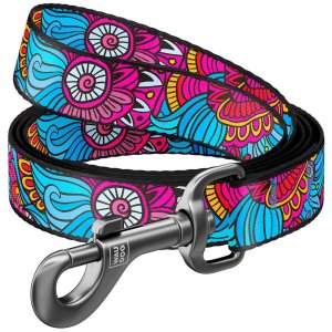 WAUDOG vodítko nylonové Summer (122cm/2,5cm)