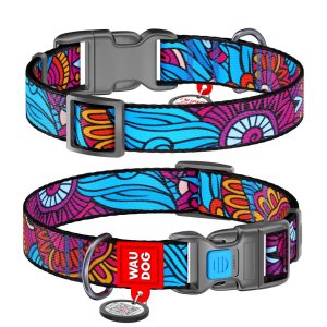 WAUDOG obojok nylonový Summer QR (25-35cm/1,5cm)