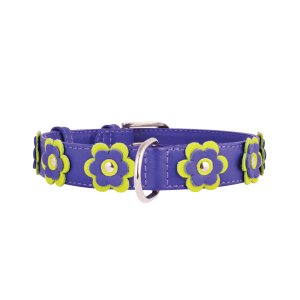Obojok kožený Glamour Flower - fialový (46-60cm/35mm)