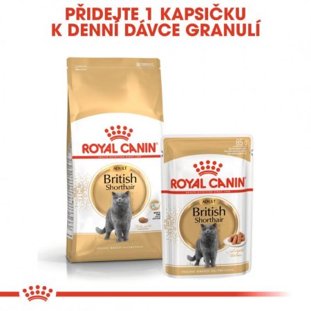 Royal Canin British Shorthair 10 kg