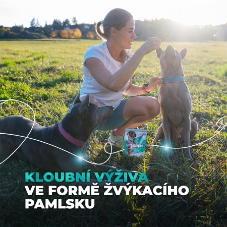 Geloren Dog L-XL 420g