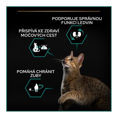 Pro Plan Cat Sterilised morka 10 + 2 kg