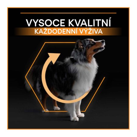 Pro Plan Medium Adult kura 14 + 2,5 kg