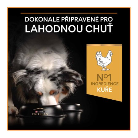 Pro Plan Medium Adult kura 14 + 2,5 kg