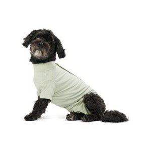 Obleček Body Suit Step'n Go Dog M zelený BUSTER
