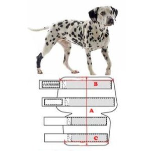 Bandáž Rehab na päty pre psa KRUUSE XXXS