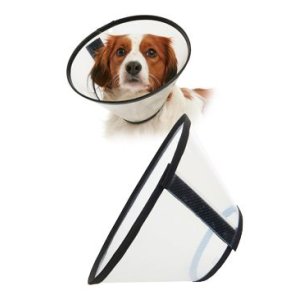 Golier ochranný BUSTER plastový Quick Collar 10cm