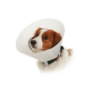 Golier ochranný BUSTER nepriehľadný Classic Collar 15cm