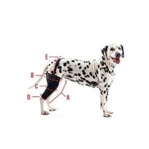 Bandáž Rehab na koleno pre psa KRUUSE XXL Ľavá