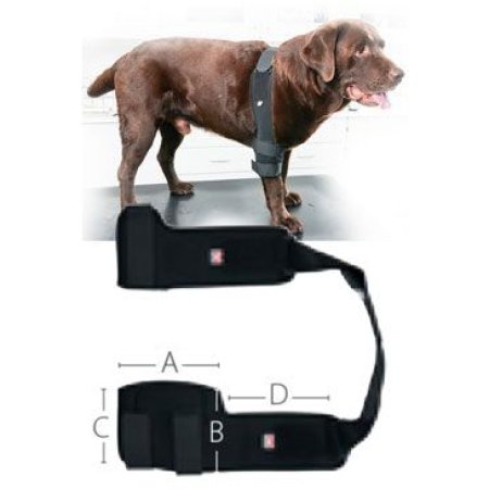 Bandáž Rehab Pro na lakeť pre psa KRUUSE XL pravá