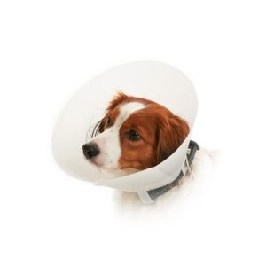 Golier ochranný BUSTER nepriehľadný Classic Collar12,5 cm