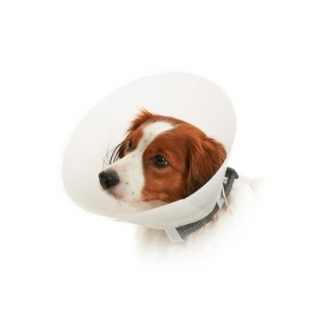 Golier ochranný BUSTER nepriehľadný Classic Collar 30cm