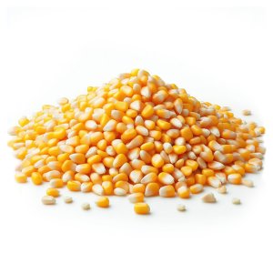 PROFIZOO Kukurica 15 kg