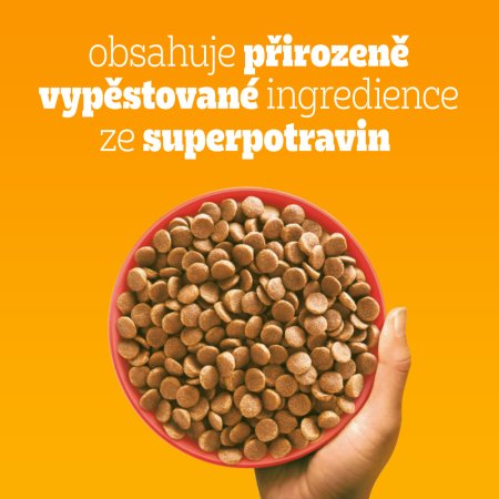 PEDIGREE granule Mini s hovädzím a hydinovým 2 kg