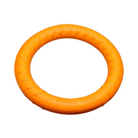 PROFIZOO Kruh FOAM malý (18 cm) oranžová