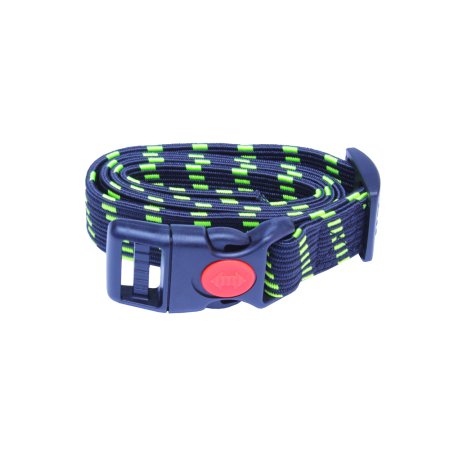 PROFIZOO Obojok GUMA (25 mm) zelená