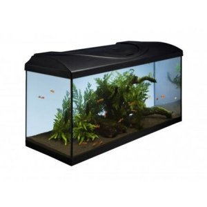 Akvarijný set 80 - čierna 80x35x40 cm