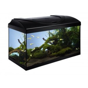 Akvarijný set 60 - čierna 60x30x30 cm