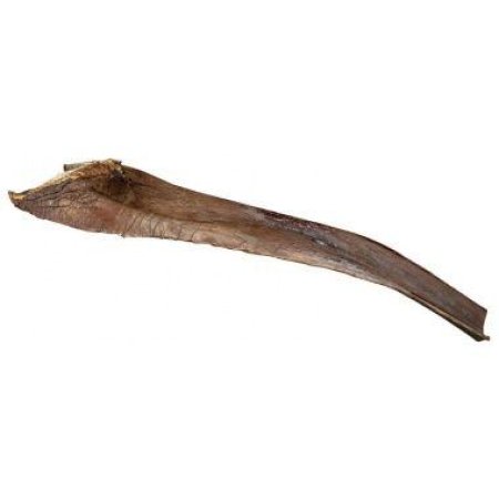 Papah wood - palmový list 50-65 cm pre plazy na lezenie (6ks)