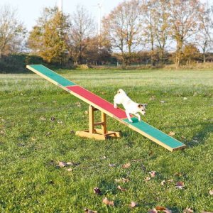 AGILITY hojdačka/lávka 300x54x34cm max.do 80kg
