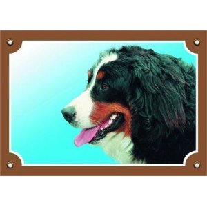 Tabuľka bernský salašnícky pes
