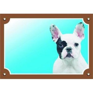 Tabuľka francúzsky buldog svetlý