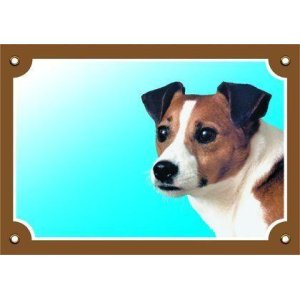 Tabuľka jack russel terier