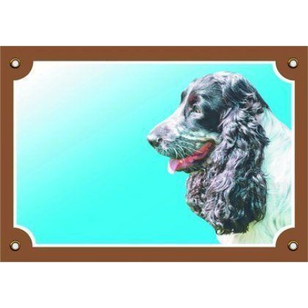 Farebná ceduľka Pozor pes, Anglický koker čb