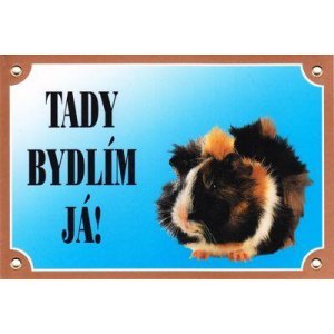 Farebná ceduľka Pozor pes, Morča