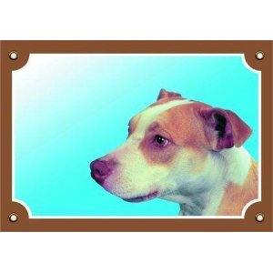 Farebná ceduľka Pozor pes, Pitbullterier